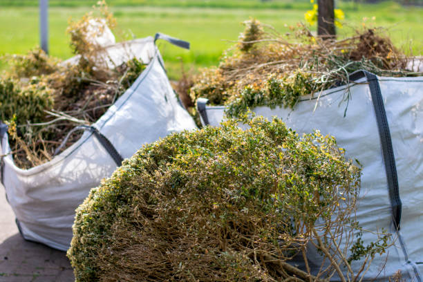 Best Junk Removal Near Me  in Fruita, CO