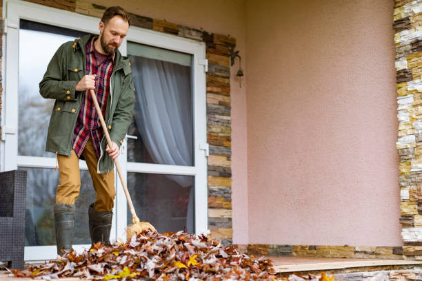 Debris Removal in Fruita, CO